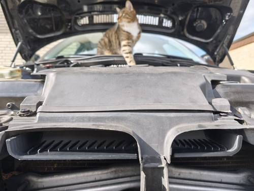 Für bmw e46 - airscoop, kaltluft